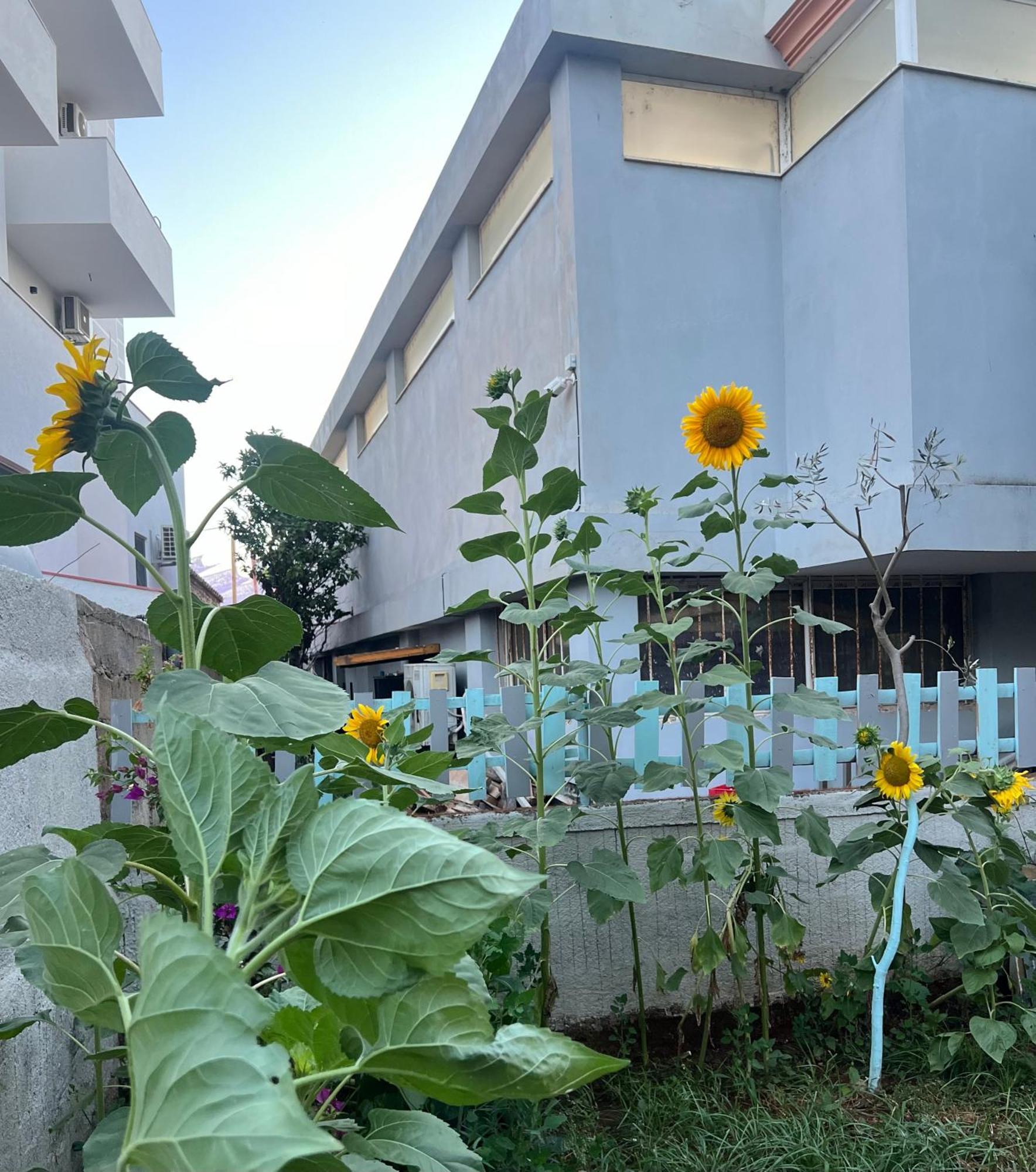 Sunflower Hotel Ksamil Exterior photo